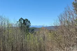 500 Grandview Peaks Dr, Nebo, NC 28761 - Photo 19