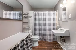 345 Lower Grassy Branch Rd, Asheville, NC 28805 - Photo 19