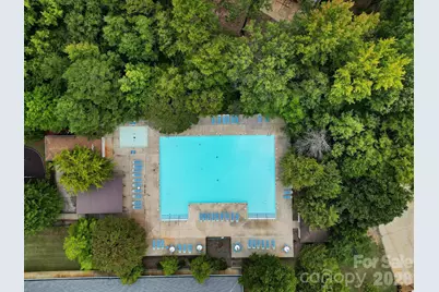 325 Mount Side Way, Fort Mill, SC 29715 - Photo 47