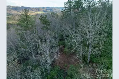 410 Forest Lake Road, Brevard, NC 28712 - Photo 43