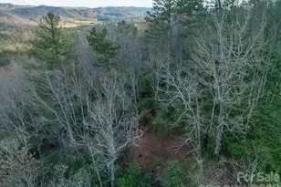 410 Forest Lake Rd, Brevard, NC 28712 - Photo 43