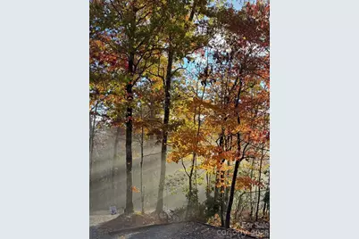 410 Forest Lake Road, Brevard, NC 28712 - Photo 47