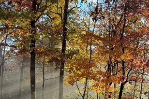 410 Forest Lake Rd, Brevard, NC 28712 - Photo 47