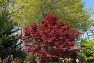 632 Ardent Trail, Belmont, NC 28012 - Photo 47