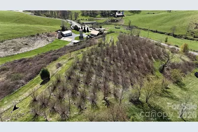00000 Buck Ridge Road, Waynesville, NC 28785 - Photo 15