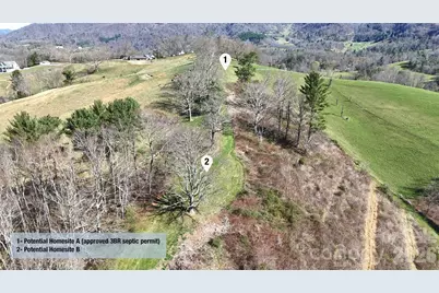 00000 Buck Ridge Road, Waynesville, NC 28785 - Photo 7