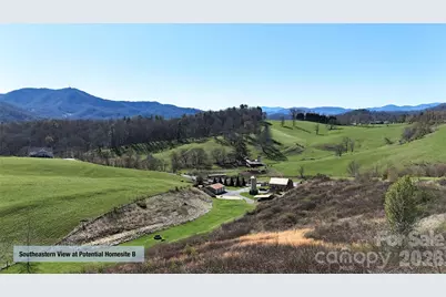 00000 Buck Ridge Road, Waynesville, NC 28785 - Photo 13