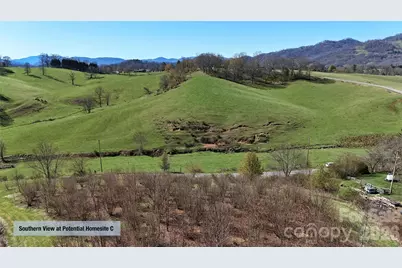 00000 Buck Ridge Road, Waynesville, NC 28785 - Photo 17