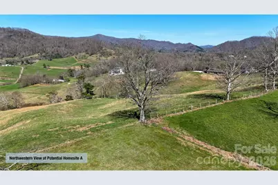 00000 Buck Ridge Road, Waynesville, NC 28785 - Photo 9