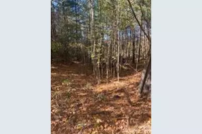 436 Sunset Point Parkway #39, Nebo, NC 28761 - Photo 3