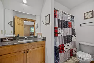 173 Mistletoe Park, Lake Lure, NC 28746 - Photo 23