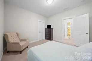 522 Spring Landing Dr, Rock Hill, SC 29730 - Photo 25