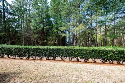 921 Lily Magnolia Court, Indian Land, SC 29707 - Photo 23