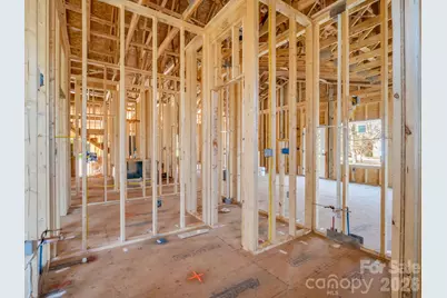 285 Woodridge Drive, Rutherfordton, NC 28139 - Photo 31