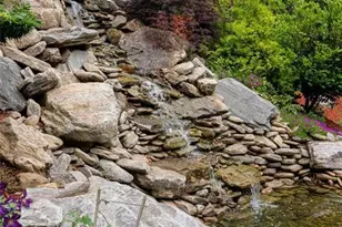 99 Timber Ridge Cir, Leicester, NC 28748 - Photo 31