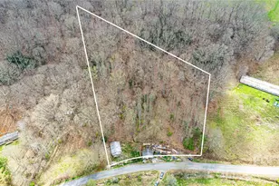 2828 Chandler Creek Rd, Mars Hill, NC 28754 - Photo 3