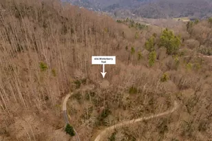 656 Winterberry Trail, Boone, NC 28607 - Photo 47