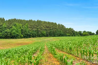 0000 Lucy Short Cut Road #5, Marshville, NC 28103 - Photo 11
