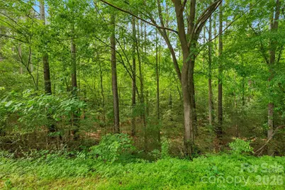 0000 Lucy Short Cut Road #5, Marshville, NC 28103 - Photo 9