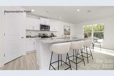 1038 Two Brothers Lane, York, SC 29745 - Photo 3