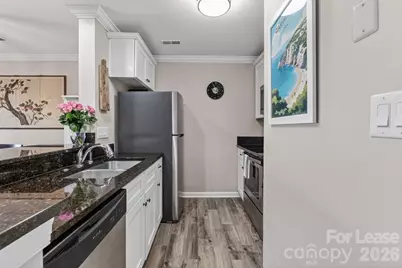 18695 Vineyard Point Lane, Cornelius, NC 28031 - Photo 7