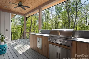 41 Hawberry Ct, Asheville, NC 28805 - Photo 15