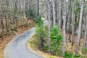 22 Salt Box Hvn, Burnsville, NC 28714 - Photo 15