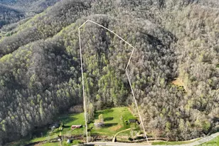 3041 Bald Mountain Rd, Burnsville, NC 28714 - Photo 3