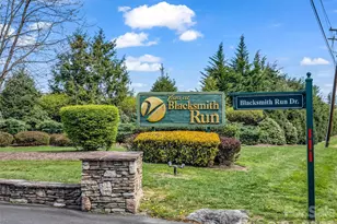 128 Shoeing Box Way, Hendersonville, NC 28792 - Photo 39