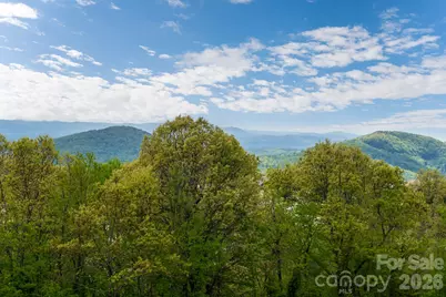 332 Summerset Drive, Hendersonville, NC 28792 - Photo 41