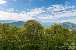 332 Summerset Dr, Hendersonville, NC 28792 - Photo 41