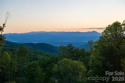 31 Bear Tree Court, Hendersonville, NC 28792 - Photo 5