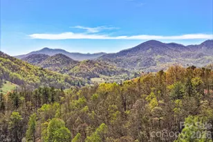 151 Kerr Rd, Leicester, NC 28748 - Photo 11