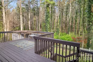 3002 Kanuga Rd, Hendersonville, NC 28739 - Photo 37