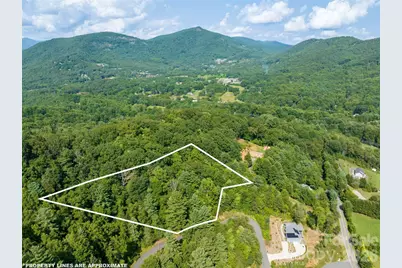 Lot 5 Autumn Trail Lane, Asheville, NC 28803 - Photo 1