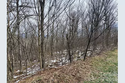 Lot 6 Chappell Farm North None N, Banner Elk, NC 28604 - Photo 5
