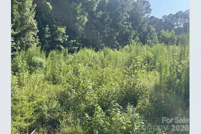 0 Ski Pond Road, New London, NC 28127 - Photo 1