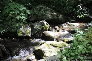 103 Chucks Ln, Bakersville, NC 28705 - Photo 39