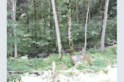 103 Chucks Lane, Bakersville, NC 28705 - Photo 43