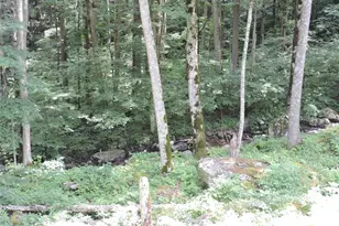 103 Chucks Ln, Bakersville, NC 28705 - Photo 43