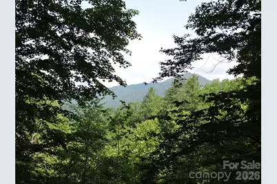 103 Chucks Lane, Bakersville, NC 28705 - Photo 45