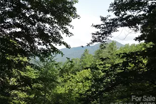 103 Chucks Ln, Bakersville, NC 28705 - Photo 45