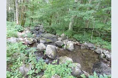 103 Chucks Lane, Bakersville, NC 28705 - Photo 41