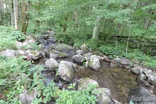 103 Chucks Ln, Bakersville, NC 28705 - Photo 41