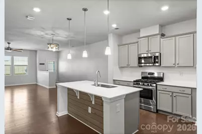 19722 Elise Caroline Alley, Davidson, NC 28036 - Photo 37