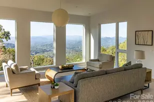 641 Elk Mountain Scenic Hwy, Asheville, NC 28804 - Photo 23