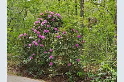 81 N Mill Ridge Road, Nebo, NC 28761 - Photo 7