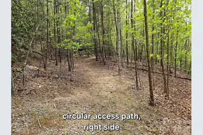 81 N Mill Ridge Road, Nebo, NC 28761 - Photo 13