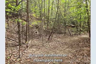 81 N Mill Ridge Road, Nebo, NC 28761 - Photo 17