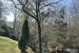 3695 Nc 9 Hwy N, Mill Spring, NC 28756 - Photo 43